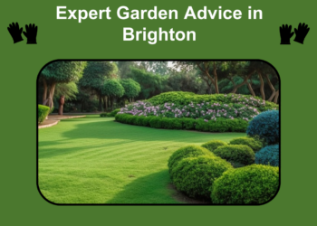 Reliable Gardener in Brighton East for All Your Landscaping Needs