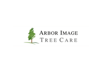 Arbor Image Tree Care