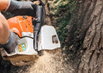 Redding Tree Service