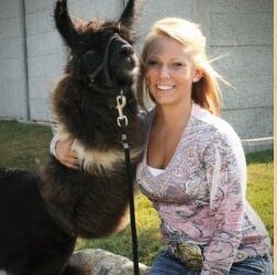 Llama Tours & Family Adventures