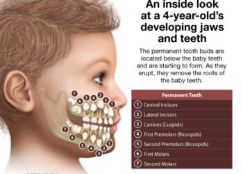 Early Dental Care | Calm Dental P.C. | Geneseo New York