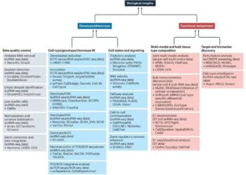 Single-Cell RNA Sequencing in Drug Discovery and Development