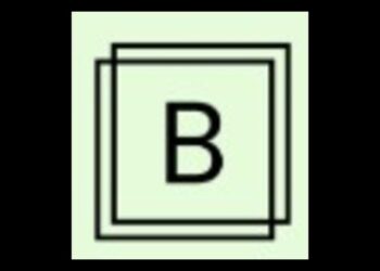 B2B Growth Starts Here – Partner with Bsquaree Marketing Inc.