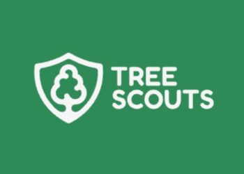 treescoutstreeservice@gmail.com