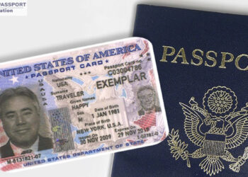 USA Passport Number Lookup: Where to Locate Your US Passport Details