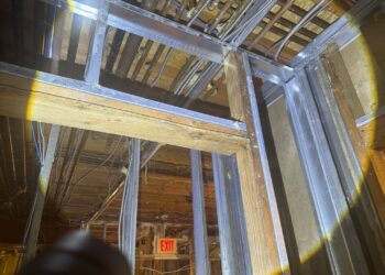 New Jersey Mold Specialist