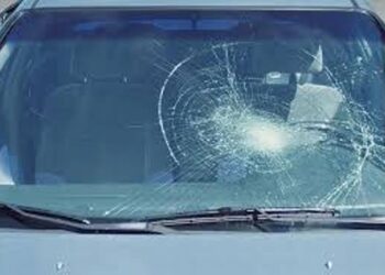 Swift Shield Repairv