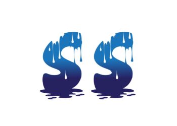Stain Steamer Carpet & Upholstery Cleaning