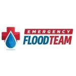 Profile picture of Emergency Flood Team