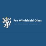 Profile picture of Pro Windshield Glass