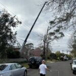 Profile picture of Triple T Tree Services